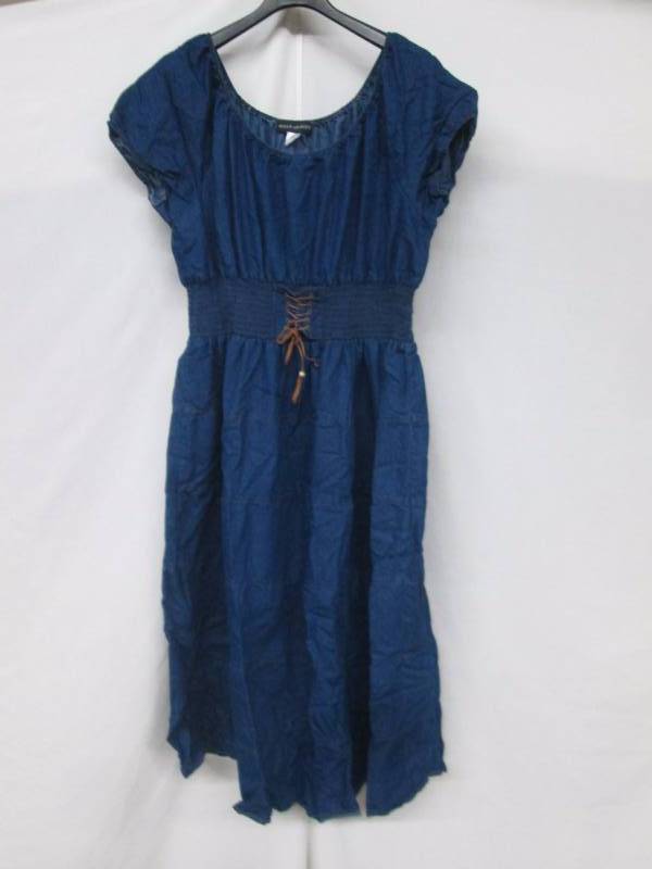Wearabouts Plus Tiered Denim Dress