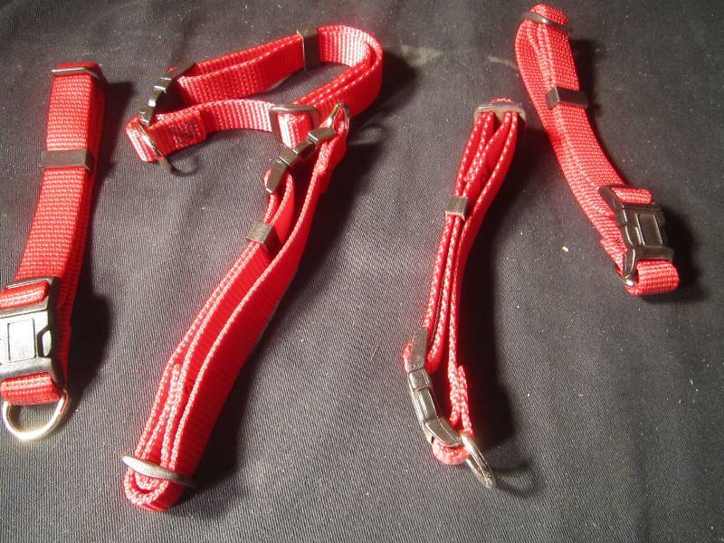 NEW LOT - 5 Pet Collars