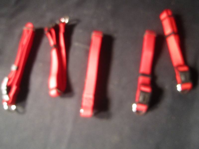 NEW LOT - 5 Pet Collars