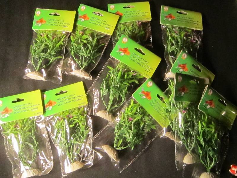 NEW LOT - 11 Aquarium Plants