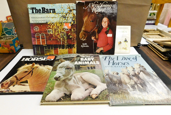 lot 43 image: Lot of books on horses, baby animals, barn & more