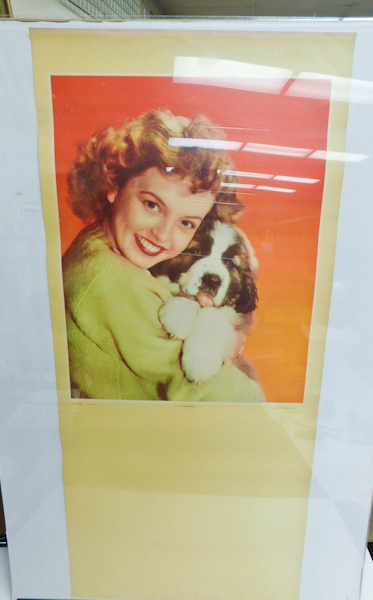 lot 219 image: Pin Up Girl Calendar Blank Printed in Mexico 16 X 35