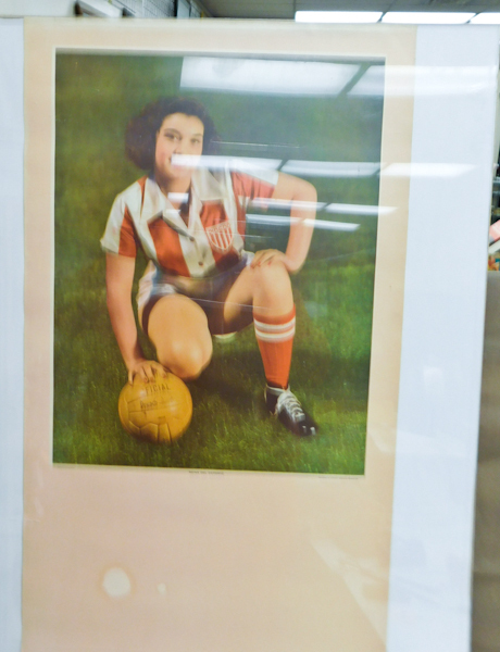 lot 221 image: Pin Up Girl Calendar Blank Printed in Mexico 16 X 35