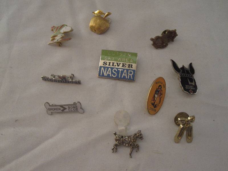 lot 111 image: Large lot of vintage pins