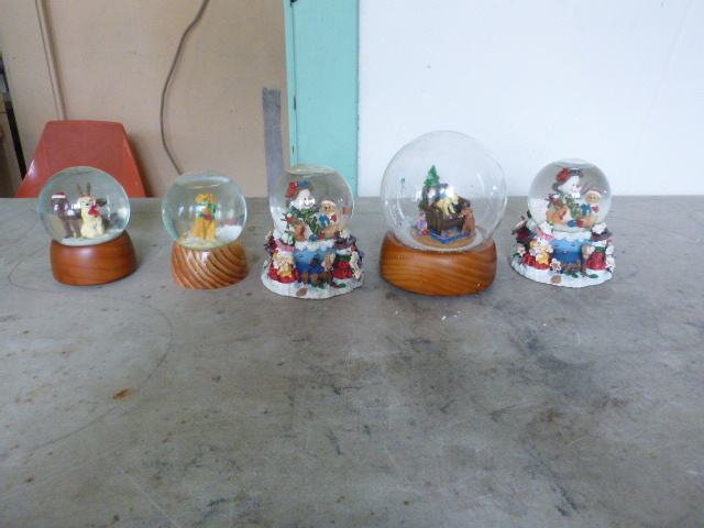 5 Snow Globes
