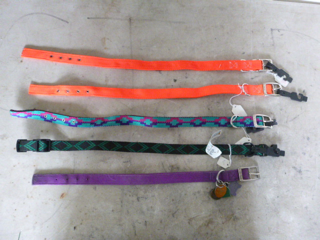 5 Miscellaneous  Dog Collars