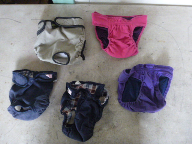 5 Pair of Pet Pants
