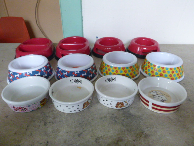 8 Small Pet Bowls