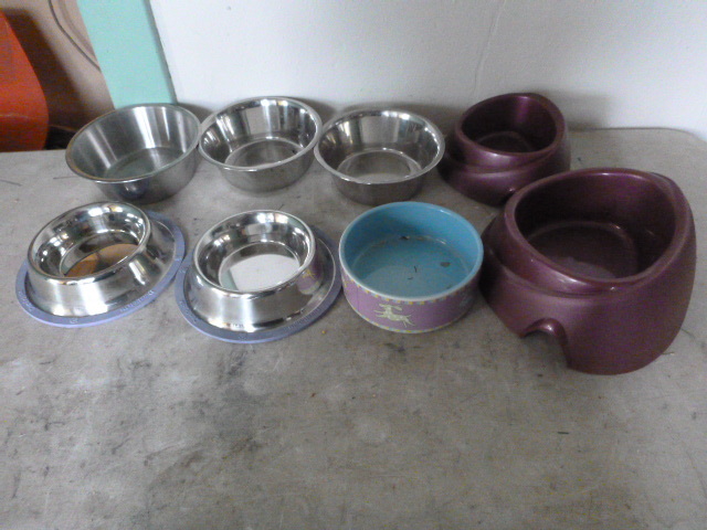 8 Pet Bowls
