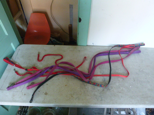 7 Dog Leashes