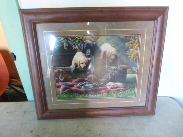Labrador Print by Kevin Daniel