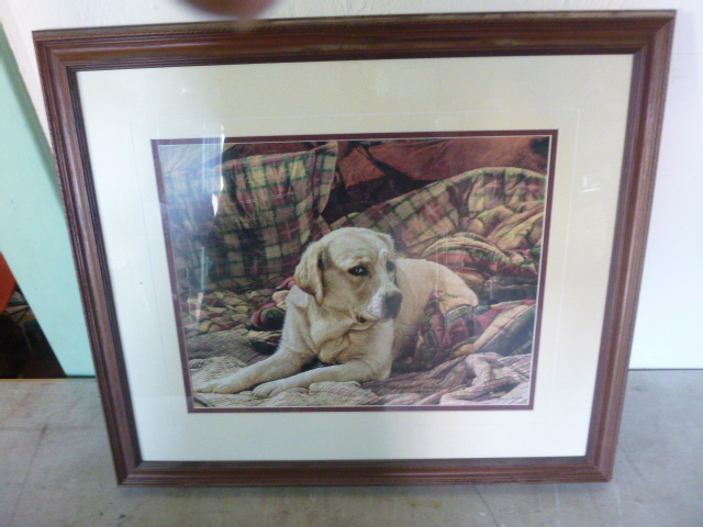 Labrador Print by SueEllen Ross