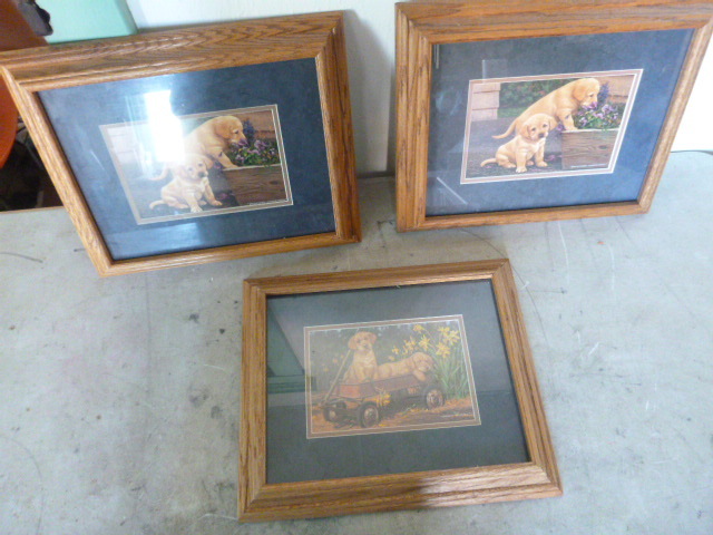 3 Labrador Prints
