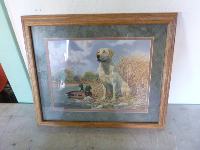 Labrador Print