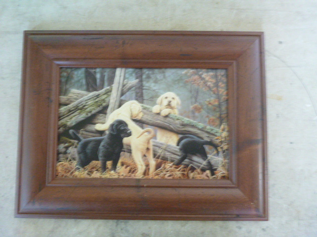 Labrador Print