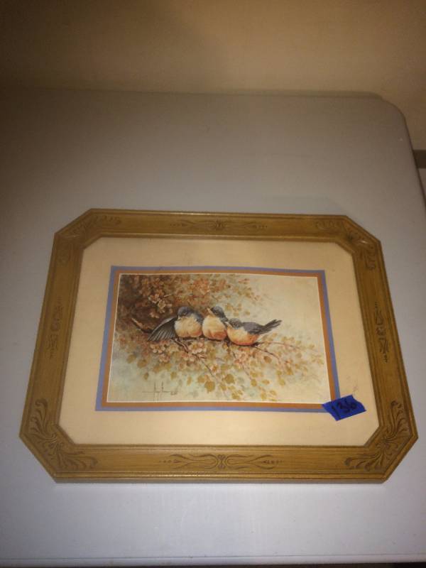 Bird Picture
