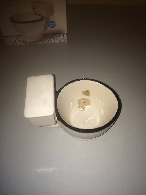 Toilet Mug