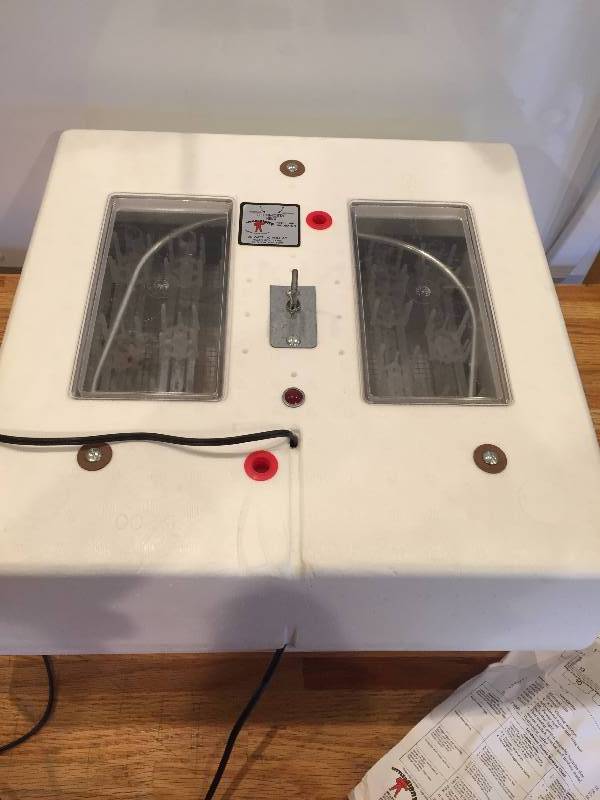 Automatic Egg Turner Incubator