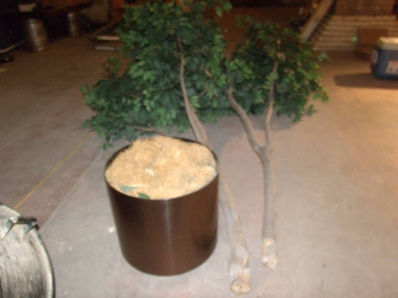 12 tree with planter