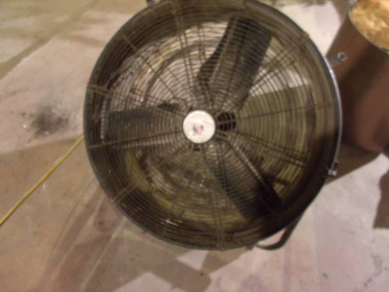 Fan