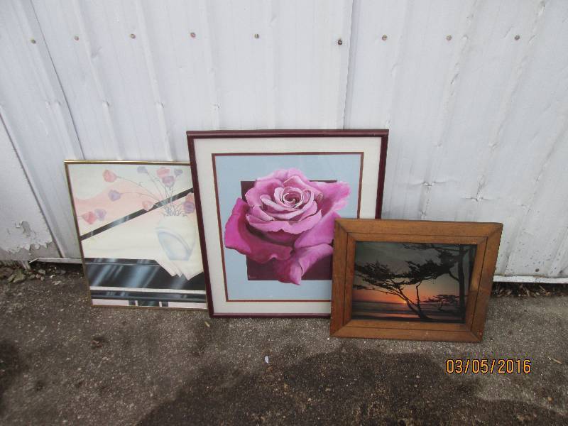 lot 52 image: Lot of 3 framed nature prints, suns...