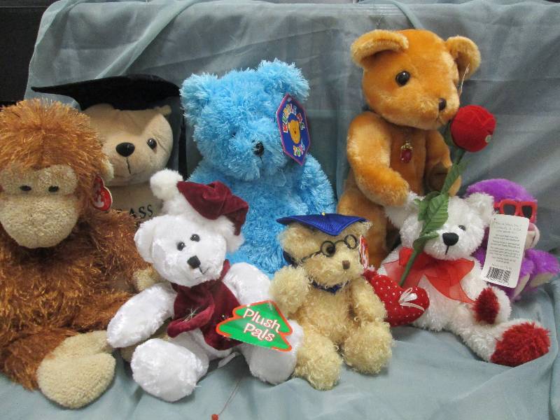 Collectable   Ty Beannies, Kuddle M...
