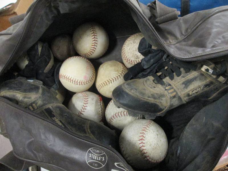 Bat and ball case with assorted sof...
