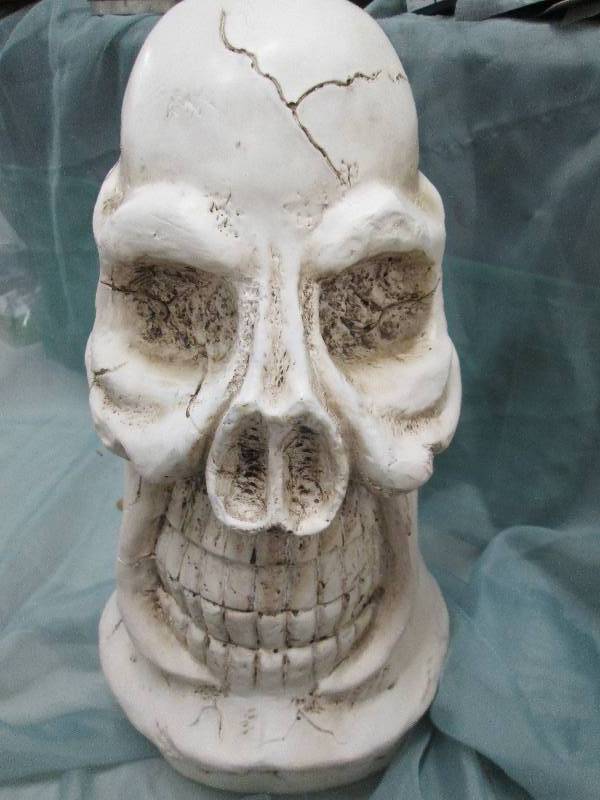 White Skull Head...
