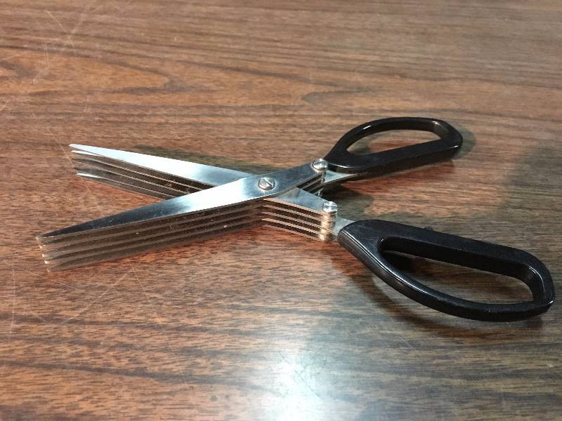 Pasta Scissors