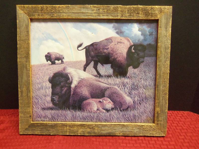 Buffalo Print