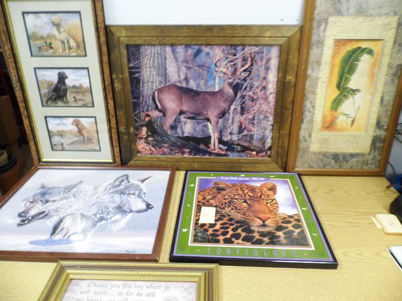 Assorted Pictures
