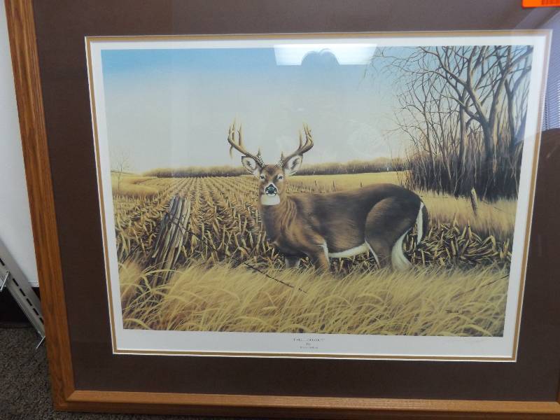Framed Print