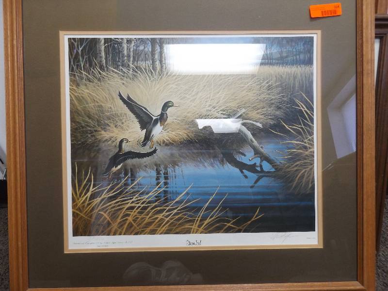 Framed Print