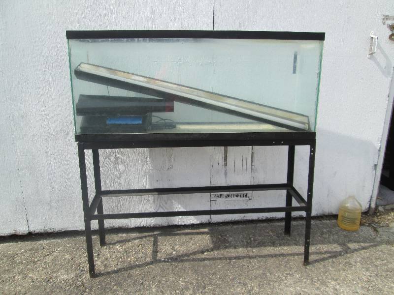 lot 36 image: large aquarium on display stand  4...