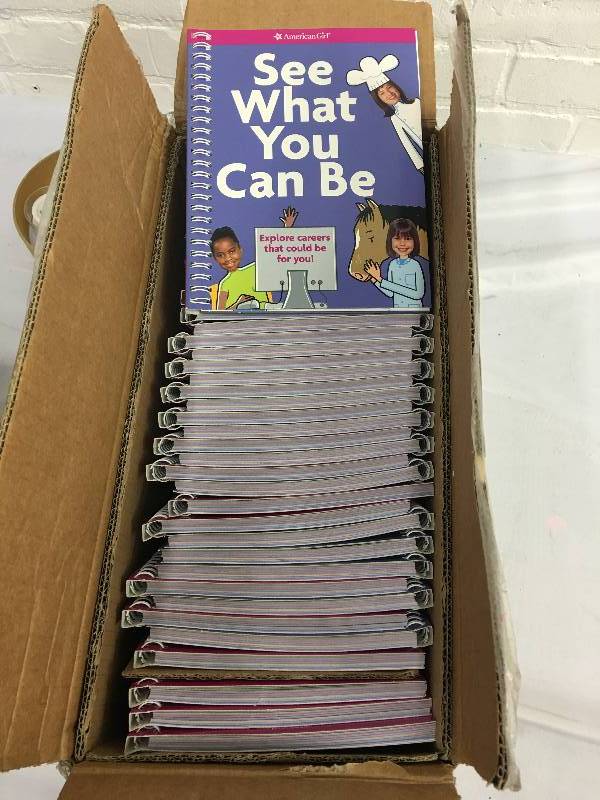 lot 41 image: Box of American Girl See what you can be books