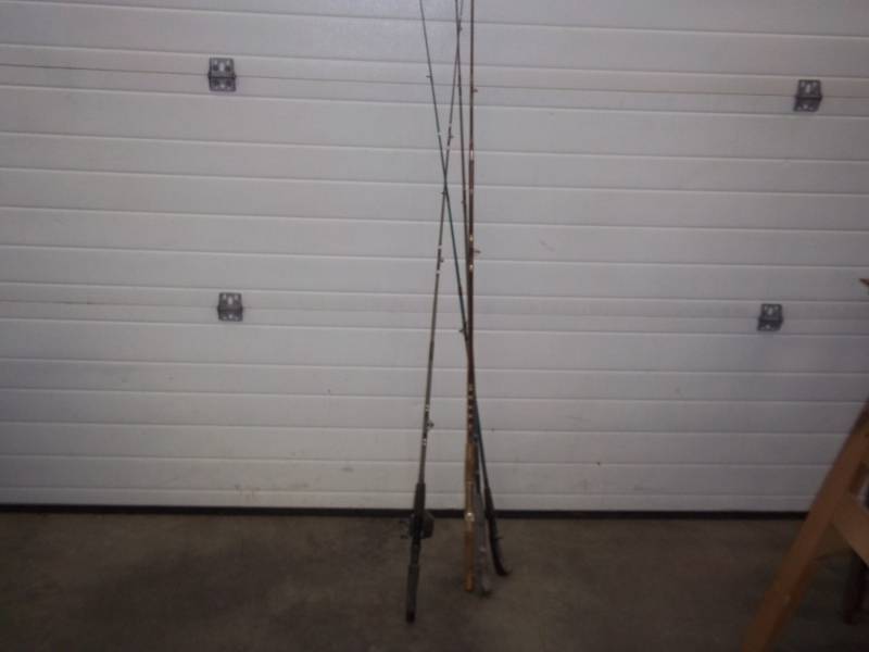 lot 191 image: 3 fishing rods & 1 rod and reel