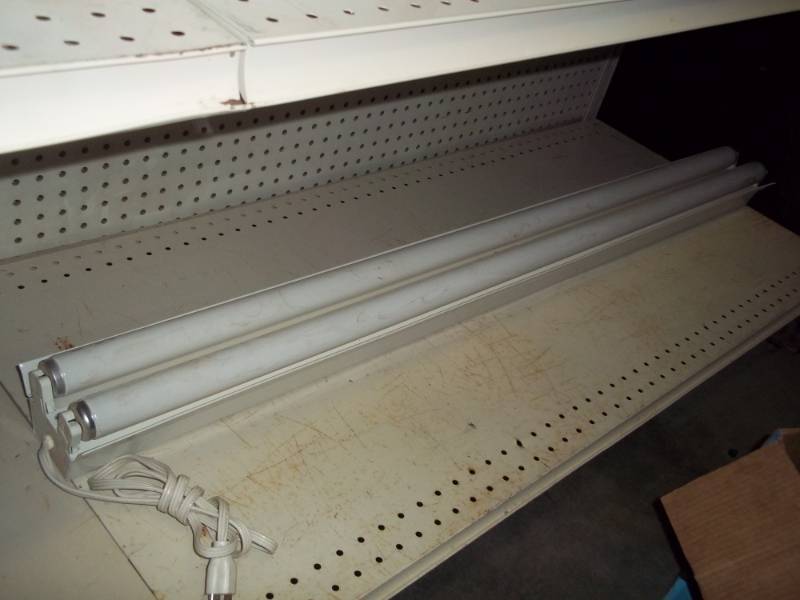 lot 220 image: 4 Florescent light with grow light bulbs