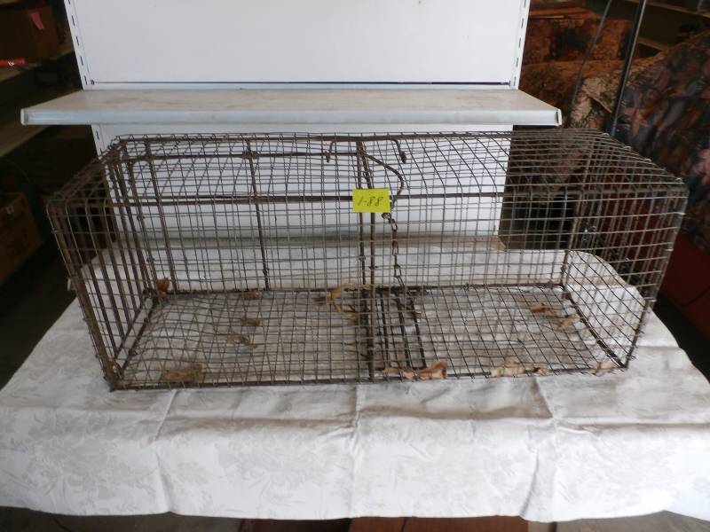 Large live trap