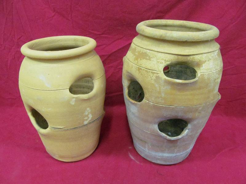 clay pot