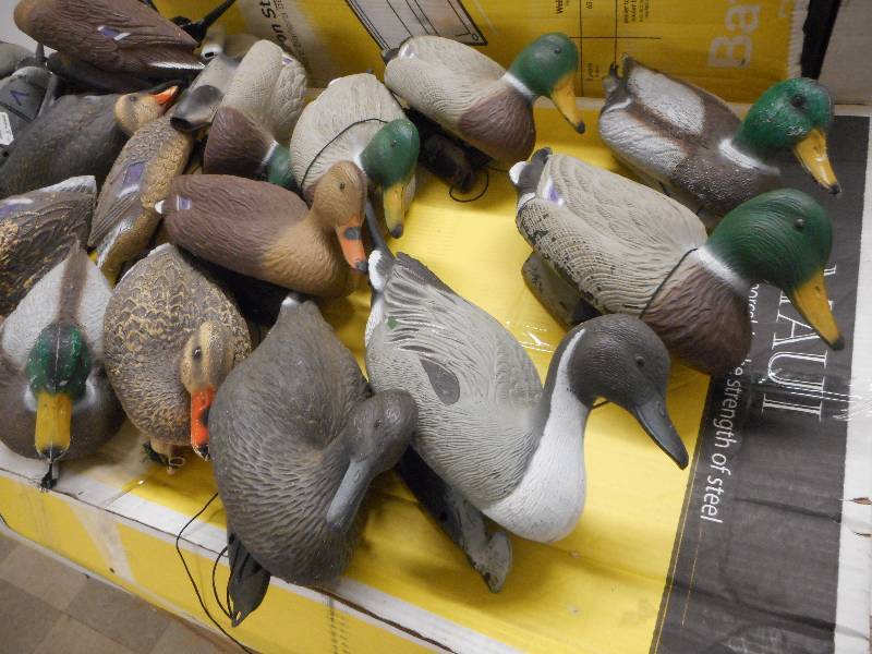 lot 3 image: (22) DUCK DECOYS
