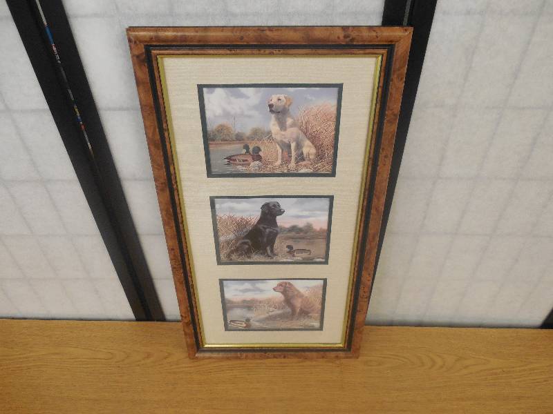 lot 89 image: 3 PHOTO FRAMED UP WATERFOWL THEMED