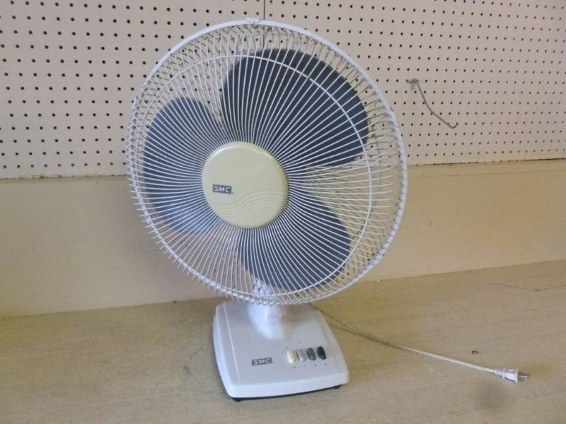 lot 195 image: Fan