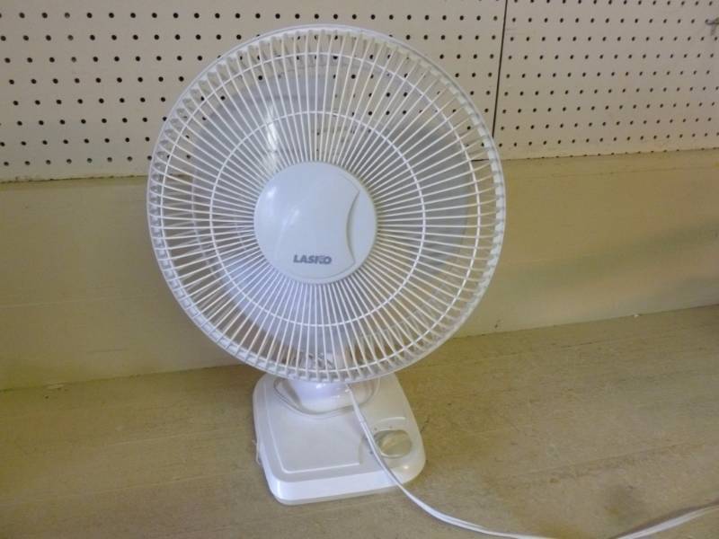 lot 196 image: Fan