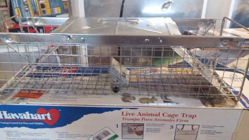 lot 21 image: Live Animal Trap