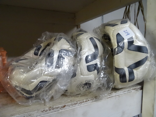 lot 219 image: Terra Match #5 Soccer Balls. Qty 3 New