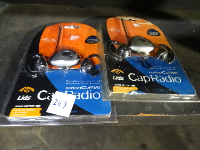 lot 243 image: Radio