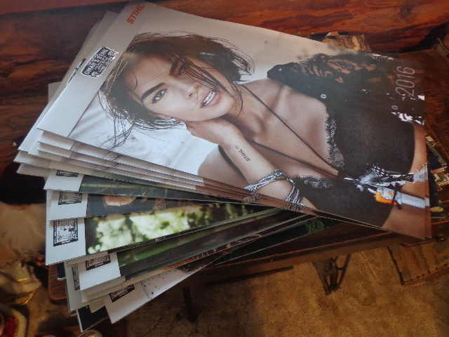 Stihl Calendar Collection | Estate Sale Auction | K-BID