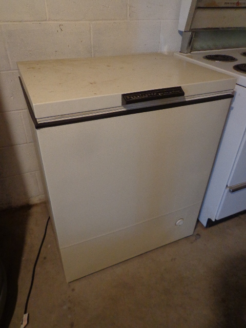 lot 206 image: Amana Deep freezer