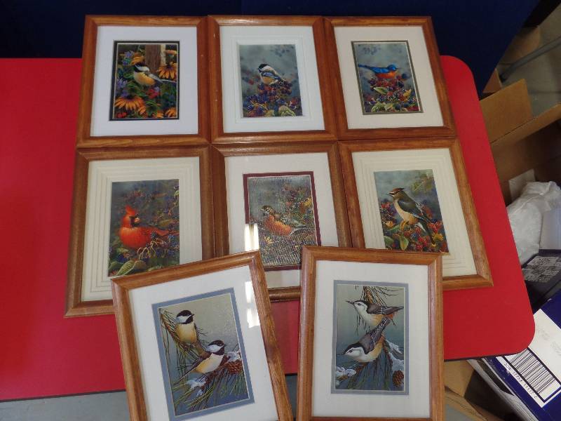 Framed Bird Pictures