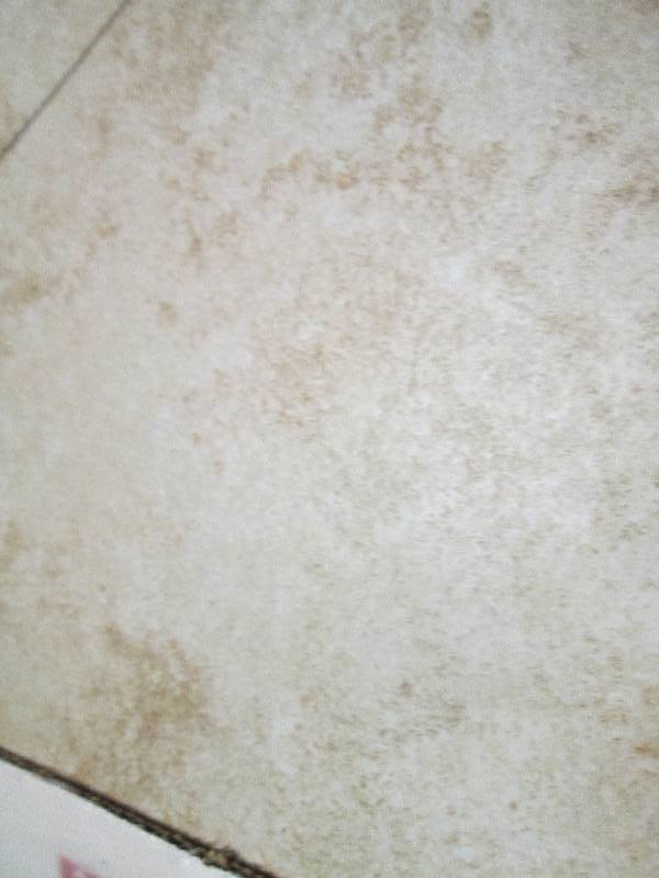 Crafters Approx 15 SqFt Glazed Por...